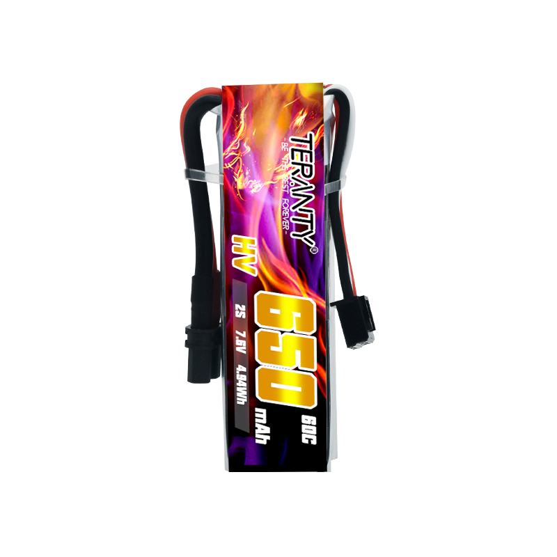 2/4/6/10 Stück TERANTY 650mAh  – Drone Kit Racing Bewertung und Preis